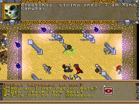 Игра Knights of the Chalice, скриншот