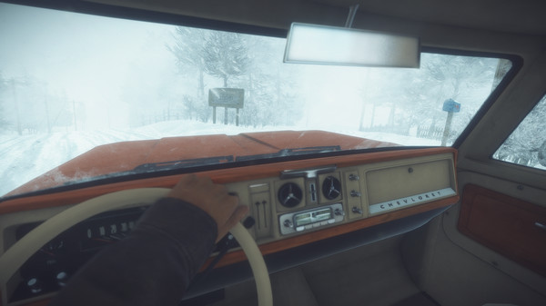 Игра Kona, скриншот