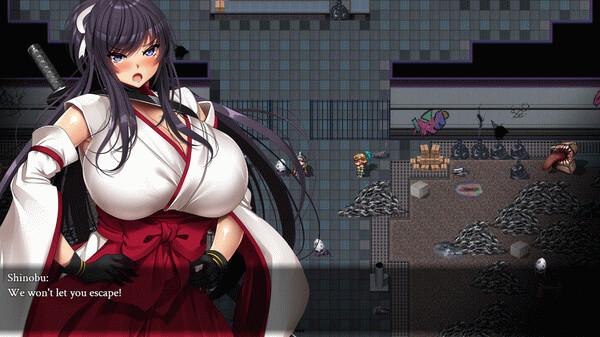 Игра Kunoichi Demon Slayers, скриншот