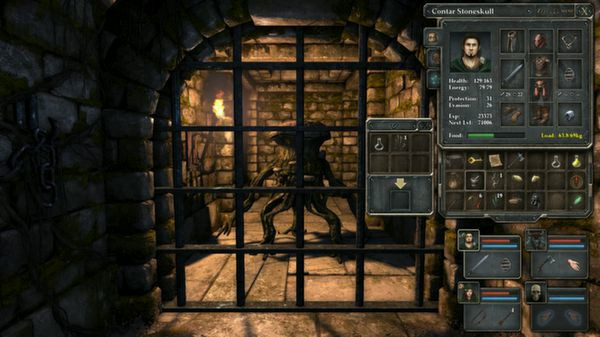 Игра Legend of Grimrock, скриншот