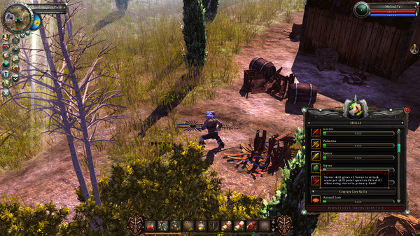 Игра Legends of Dawn Reborn, скриншот
