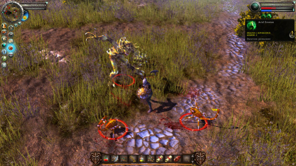 Игра Legends of Dawn Reborn, скриншот