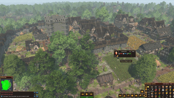 Игра Life is Feudal: Forest Village, скриншот