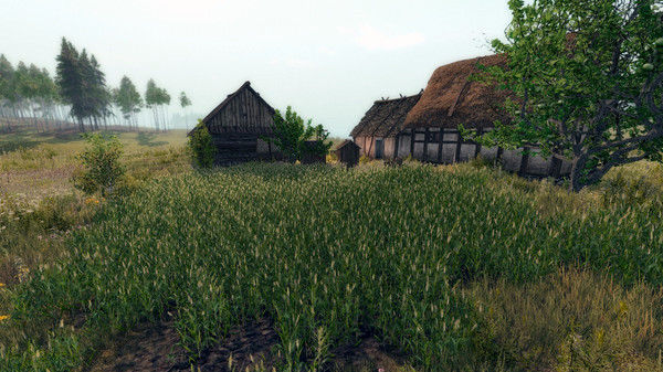 Игра Life is Feudal: Your Own, скриншот