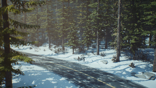 Игра Life is Strange 2 - Episode 2, скриншот
