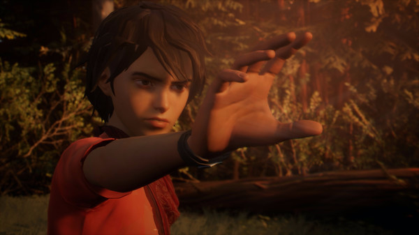 Игра Life is Strange 2, скриншот
