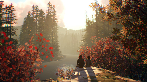 Игра Life is Strange 2, скриншот