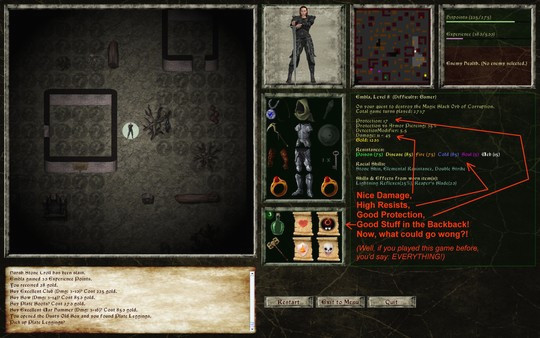 Игра Lord of the Dark Castle, скриншот