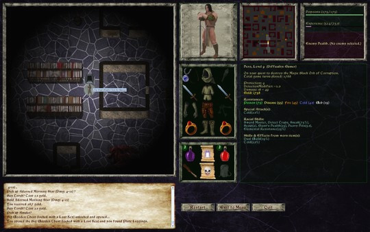 Игра Lord of the Dark Castle, скриншот
