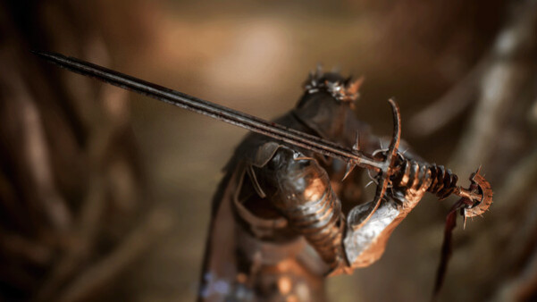 Игра Lords of the Fallen - Dark Crusader Starting Class, скриншот