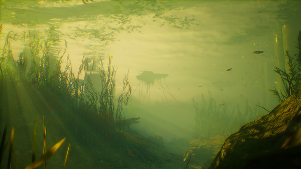 Игра Maneater, скриншот