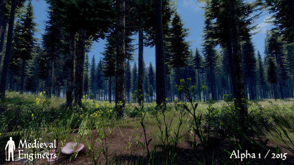 Игра Medieval Engineers, скриншот