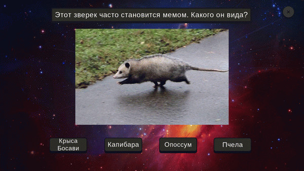 Игра МЕМОЛОГИЯ, скриншот
