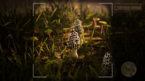 Игра Morels: The Hunt, скриншот