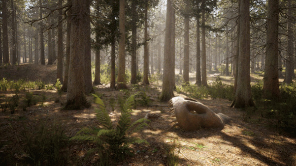 Игра Morels: The Hunt, скриншот