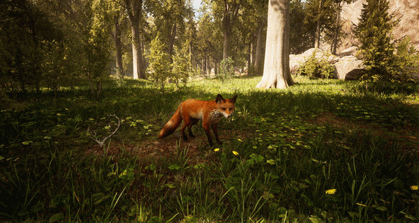 Игра Morels: The Hunt, скриншот