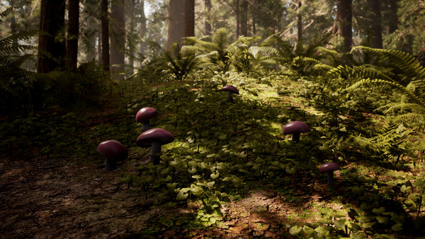 Игра Morels: The Hunt, скриншот