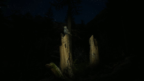 Игра Morels: The Hunt, скриншот