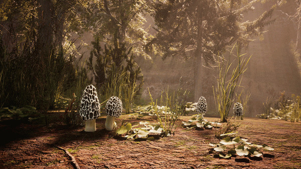 Игра Morels: The Hunt, скриншот