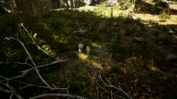 Игра Morels: The Hunt, скриншот