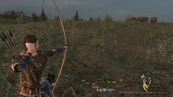 Игра Mount & Blade: Warband - Viking Conquest Reforged Edition, скриншот