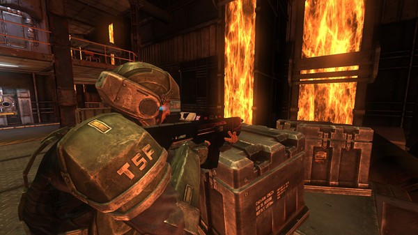 Игра Natural Selection 2 - Skull 'n' Crossfire Rifle, скриншот