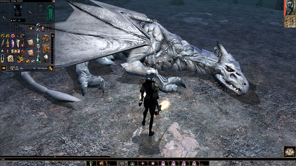 Игра Neverwinter Nights: Enhanced Edition, скриншот