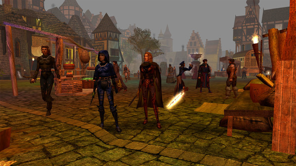 Игра Neverwinter Nights: Enhanced Edition Tyrants of the Moonsea, скриншот