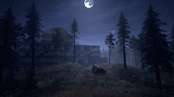 Игра Nightwalker, скриншот