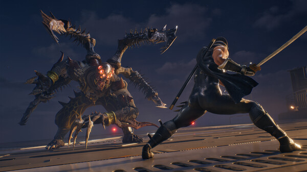 Игра NINJA GAIDEN 2 Black, скриншот