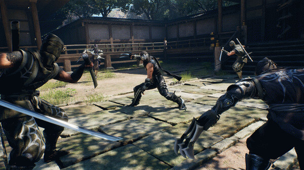 Игра NINJA GAIDEN 2 Black, скриншот
