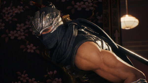 Игра NINJA GAIDEN 2 Black, скриншот