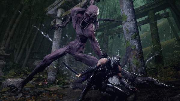 Игра NINJA GAIDEN 4, скриншот