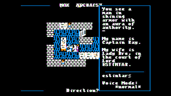 Игра Nox Archaist, скриншот