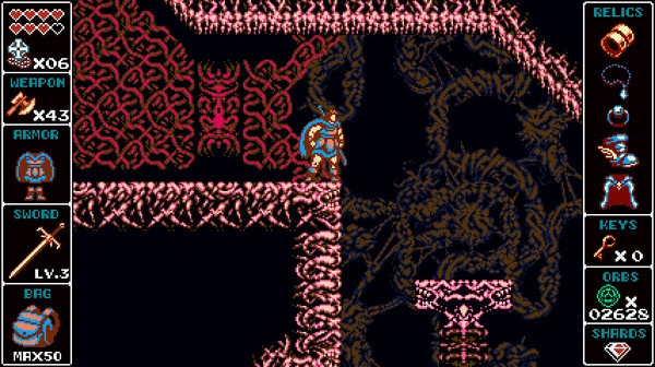 Игра Odallus: The Dark Call, скриншот