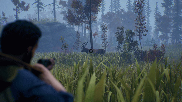Игра Open Country, скриншот