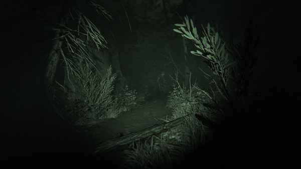 Игра Outlast 2, скриншот