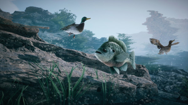 Игра Outlaws of the Old West, скриншот