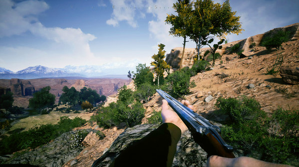 Игра Outlaws of the Old West, скриншот