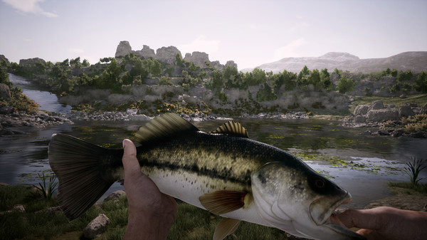 Игра Outlaws of the Old West, скриншот