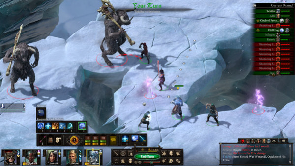 Игра Pillars of Eternity II: Deadfire, скриншот