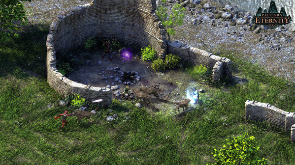 Игра Pillars of Eternity, скриншот