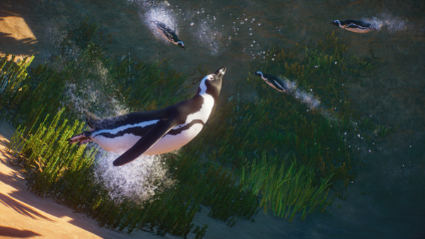 Игра Planet Zoo: Africa Pack, скриншот