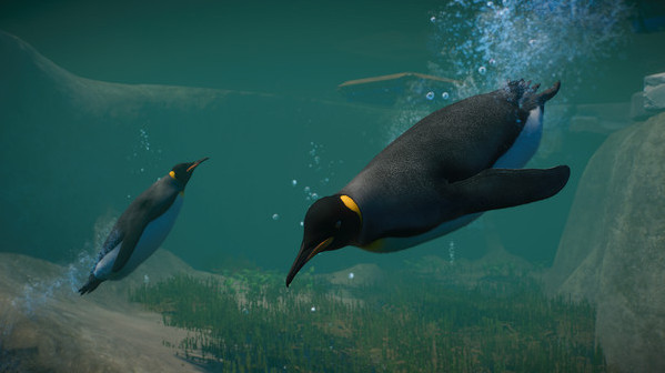 Игра Planet Zoo: Aquatic Pack, скриншот