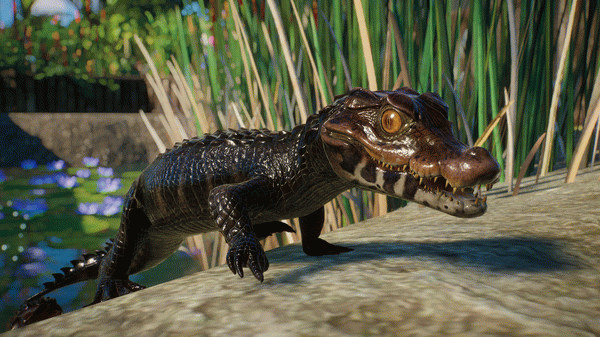 Игра Planet Zoo: Aquatic Pack, скриншот