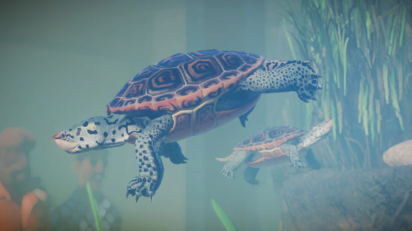 Игра Planet Zoo: Aquatic Pack, скриншот