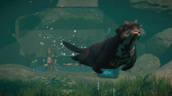 Игра Planet Zoo: Aquatic Pack, скриншот