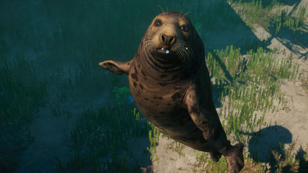 Игра Planet Zoo: Aquatic Pack, скриншот