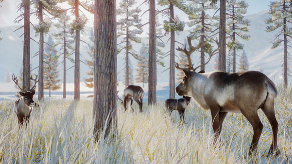 Игра Planet Zoo: Arctic Pack, скриншот
