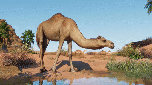 Игра Planet Zoo: Arid Animal Pack, скриншот